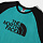 Футболка мужская The North Face Raglan Easy SS Porcelain Green - Фото 2 малая