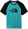 Футболка мужская The North Face Raglan Easy SS Porcelain Green - Фото 1 малая