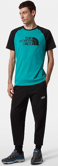 Футболка мужская The North Face Raglan Easy SS Porcelain Green - Фото 7 большая