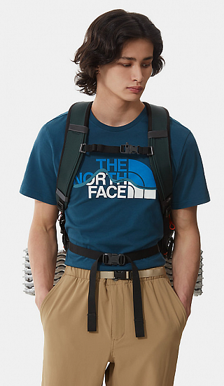 Футболка мужская The North Face Mountain Line SS Monterey Blue/TNF White - Фото 6 большая
