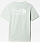 Футболка мужская The North Face Logo Plus Tee Green Mistery - Фото 2 малая