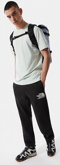 Футболка мужская The North Face Logo Plus Tee Green Mistery - Фото 5 большая