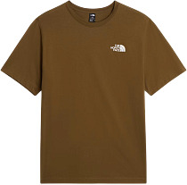 Футболка мужская The North Face North Faces Regular Graphic Caraway Seed