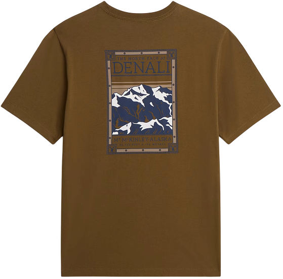 Футболка мужская The North Face North Faces Regular Graphic Caraway Seed - Фото 2 большая
