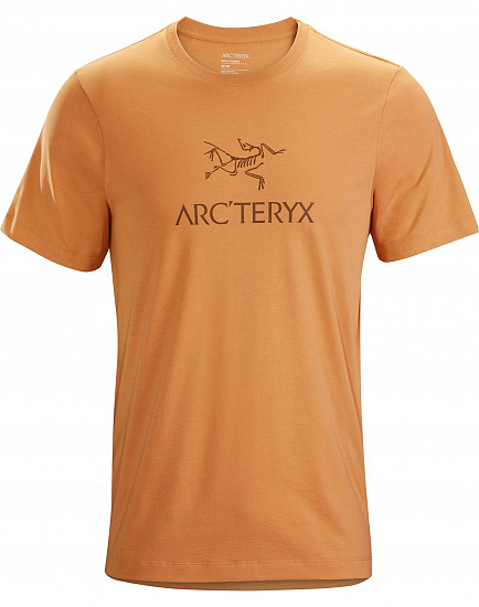 Футболка мужская Arcteryx ArcWord Subliminal - Фото 1 большая
