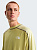 Лонгслив The North Face NSE Lightrange Pear/Lemon Mist - Фото 5 малая