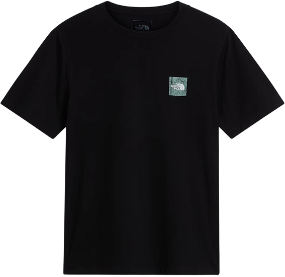 Футболка мужская The North Face Monte Reg Graphic Tnf Black - Фото 1 большая