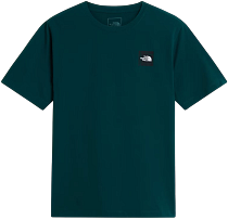 Футболка мужская The North Face Monte Reg Graphic Pacific Teal
