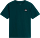 Футболка мужская The North Face Monte Reg Graphic Pacific Teal - Фото 1 малая