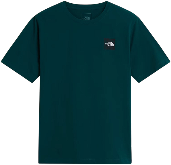 Футболка мужская The North Face Monte Reg Graphic Pacific Teal - Фото 1 большая