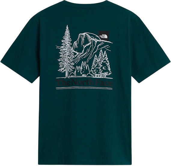 Футболка мужская The North Face Monte Reg Graphic Pacific Teal - Фото 2 большая