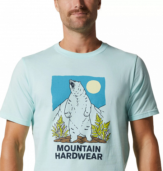 Футболка мужская Mountain Hardwear Bear Trail SS Pale Ice - Фото 4 большая