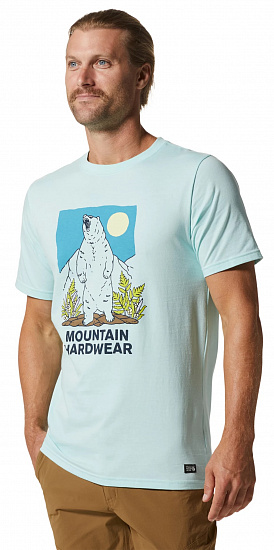 Футболка мужская Mountain Hardwear Bear Trail SS Pale Ice - Фото 5 большая