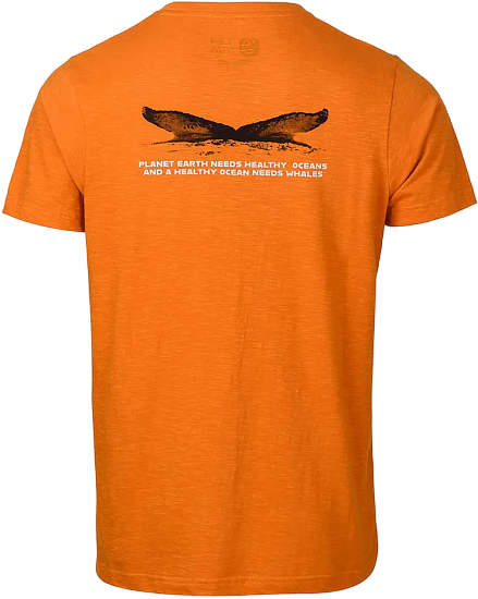 Футболка мужская Ternua Humpback Desert Sun - Фото 2 большая