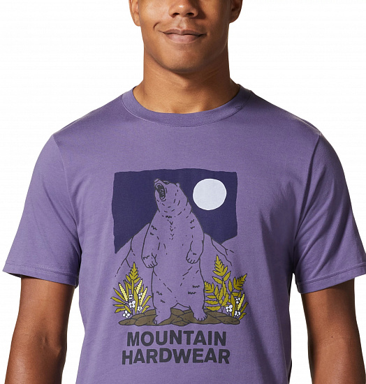 Футболка мужская Mountain Hardwear Bear Trail SS Allium - Фото 4 большая