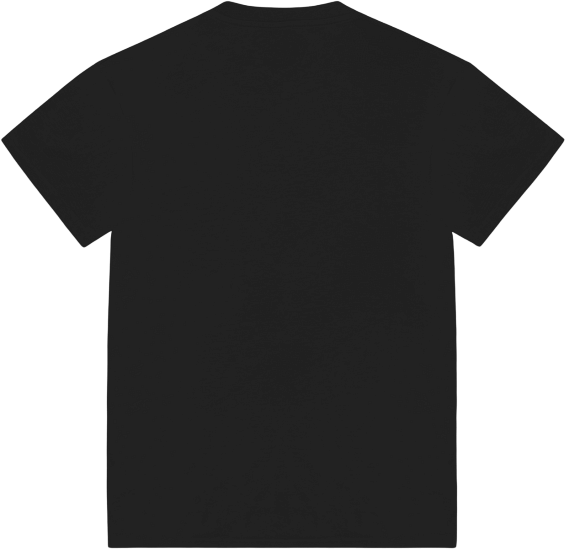 Футболка мужская Colmar Iconic Black - Фото 2 большая