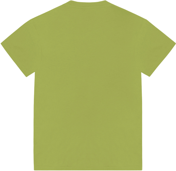 Футболка мужская Colmar Iconic Iguana - Фото 2 большая