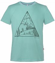 Футболка мужская Birds and Blokes Triangle Васаби