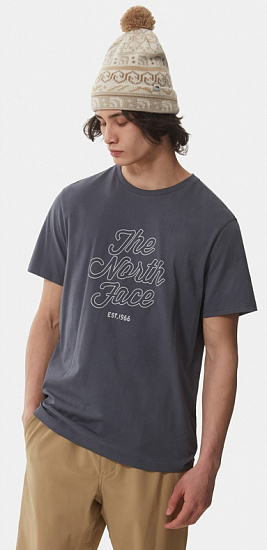 Футболка мужская The North Face SS Natural Wonders Vanadis Grey - Фото 10 большая