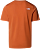 Футболка мужская The North Face Lightbright Iron Bronze - Фото 7 малая