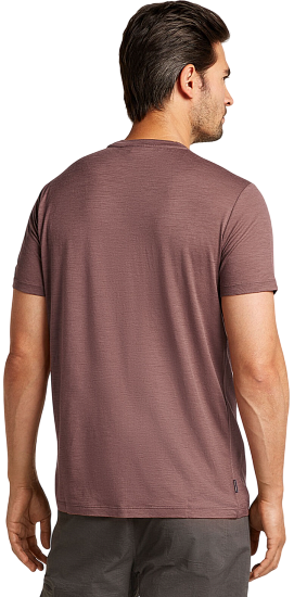 Футболка мужская Icebreaker Merino 150 Tech Lite Ss T Pol Paddle Carob - Фото 2 большая