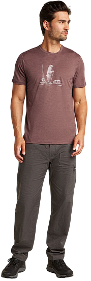 Футболка мужская Icebreaker Merino 150 Tech Lite Ss T Pol Paddle Carob - Фото 3 большая