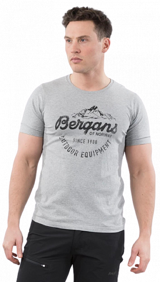 Футболка мужская Bergans Classic Tee Grey Mel/Black - Фото 2 большая