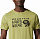 Футболка мужская Mountain Hardwear Logo SS Light Cactus - Фото 4 малая