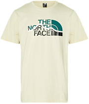 Футболка мужская The North Face Mountain Line Gravel