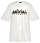 Футболка мужская Mountain Hardwear MHW Sun Stash Collab Stone - Фото 1 малая