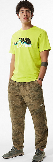 Футболка мужская The North Face Mountain Line Ss Sulphur Spring Green - Фото 4 большая