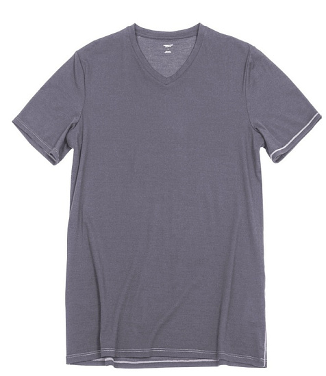 Футболка мужская Icebreaker Anatomica SS V Monsoon/White - Фото 3 большая