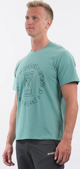 Футболка мужская Bergans Graphic Tee Light Forest Frost - Фото 2 большая