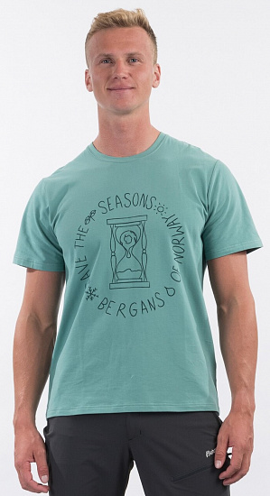 Футболка мужская Bergans Graphic Tee Light Forest Frost - Фото 5 большая