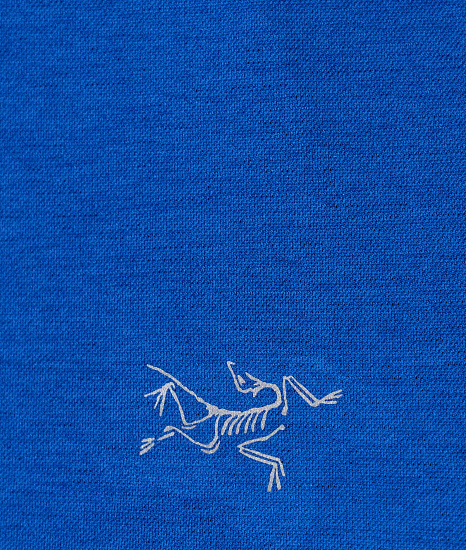 Футболка женская Arcteryx Quadra crew ss Vitality - Фото 5 большая