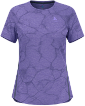 Футболка женская Odlo Zeroweight Engineered Chill-Tec Crew Neck SS Afterparty Melange