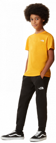 Футболка детская The North Face Simple Dome SS Summit Gold - Фото 6 большая