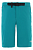 Шорты женские The North Face Speedlight Fanfare Green - Фото 1 малая