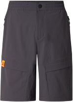 Шорты мужские Bogner Fire+Ice Caleb Iron