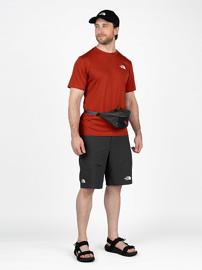 Шорты мужские The North Face Speedlight Slim Tapered Asphalt Grey/NP - Фото 3 большая