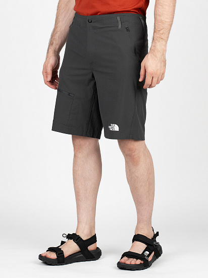 Шорты мужские The North Face Speedlight Slim Tapered Asphalt Grey/NP - Фото 4 большая