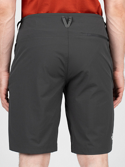 Шорты мужские The North Face Speedlight Slim Tapered Asphalt Grey/NP - Фото 5 большая