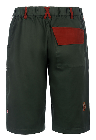 Шорты мужские Birds and Blokes Bloke Зеленый - Фото 2 большая