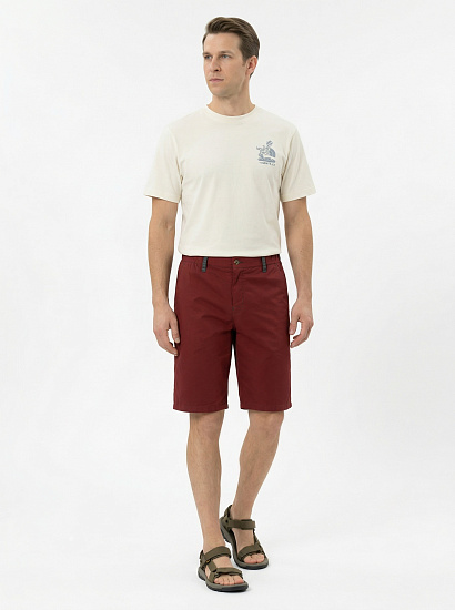 Шорты мужские Birds and Blokes Bloke Терракотовый - Фото 3 большая