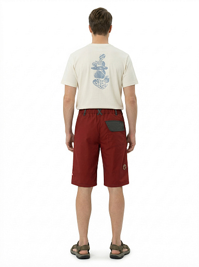 Шорты мужские Birds and Blokes Bloke Терракотовый - Фото 5 большая