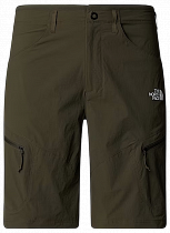 Шорты мужские The North Face Exploration New Taupe Green