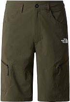 Шорты мужские The North Face Exploration New Taupe Green