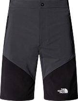 Шорты мужские The North Face Felik Slim Tapered Asphalt Grey/Tnf Black/Npf