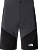 Шорты мужские The North Face Felik Slim Tapered Asphalt Grey/Tnf Black/Npf - Фото 1 малая