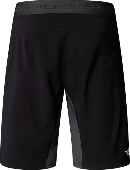 Шорты мужские The North Face Felik Slim Tapered Asphalt Grey/Tnf Black/Npf - Фото 2 большая